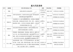 重大风险清单