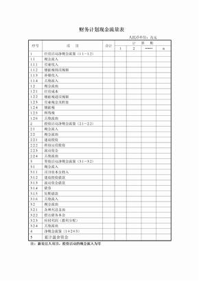 财务计划现金流量表格式