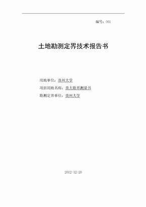 陈志康-勘界测量报告书