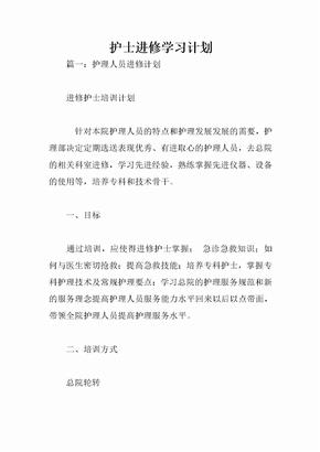 护士进修学习计划