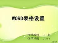 WORD表格设置1