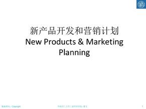 新产品开发跟营销计划