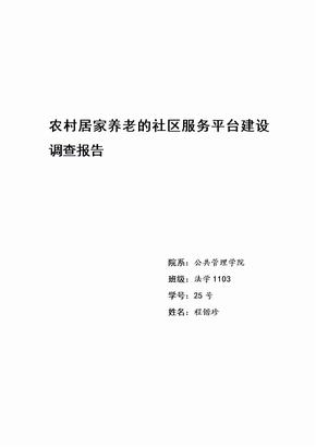 农村居家养老的社区服务平台建设调查报告