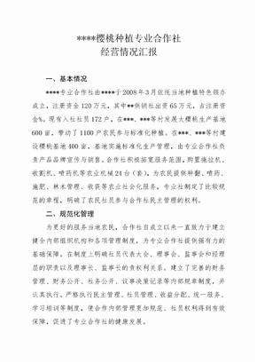 大樱桃种植专业合作社经营情况汇报