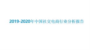 2019-2020年中国社交电商行业分析报告