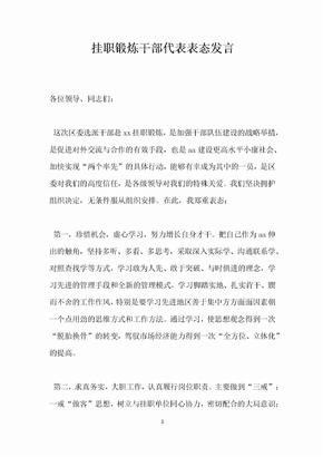 挂职锻炼干部代表表态发言