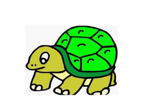 可爱的小乌龟 2