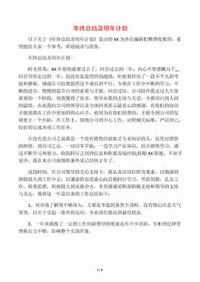 年终总结及明年计划