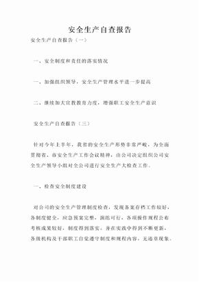 安全生产自查报告