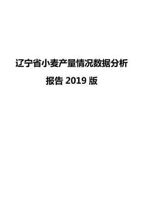 辽宁省小麦产量情况数据分析报告2019版